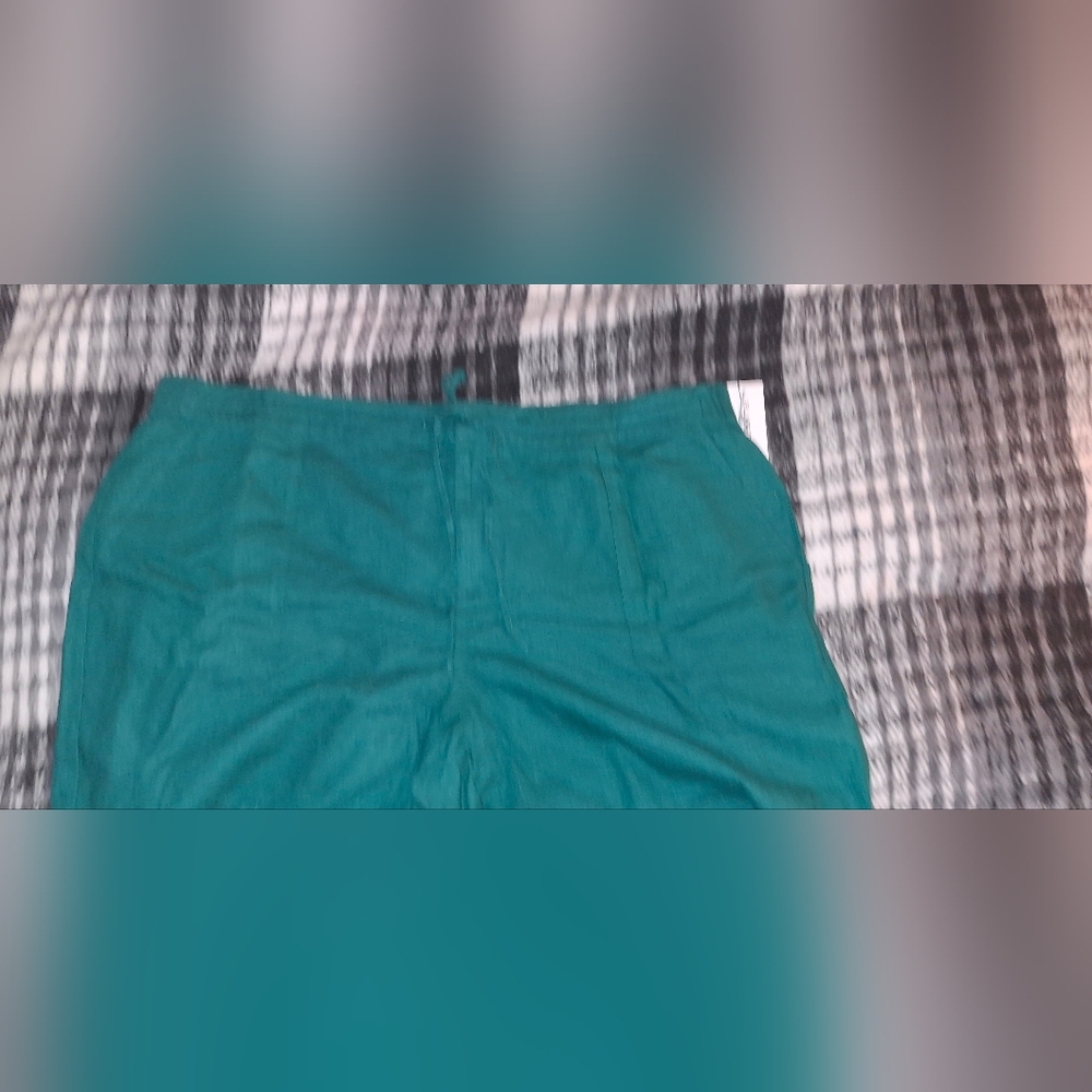 Liz Claiborne Green Flat Front Shorts
